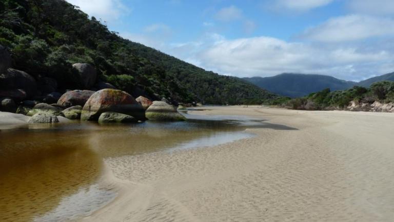 Tidal River
